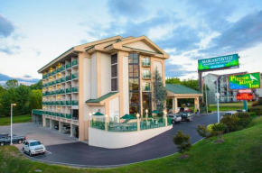 Отель Pigeon River Inn  Пиджен Фордж